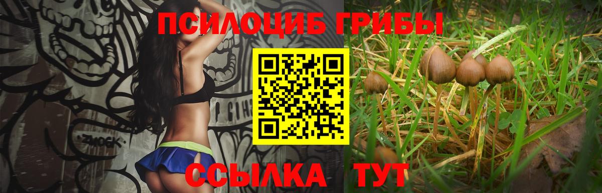 Псилоцибиновые грибы GOLDEN TEACHER Морозовск