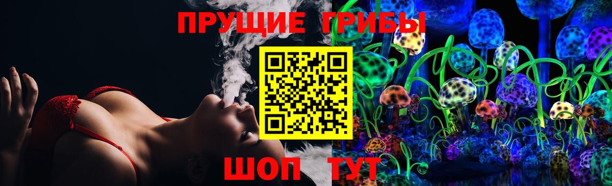 Морозовск  Галлюциногенные грибы Psilocybe  Вход с VPN 